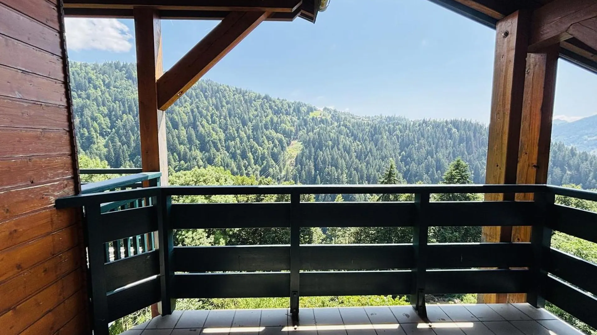 Appartement Au Pied Des Pistes Avec Balcon, Animaux Acceptes - Fr-1-505-84 ノートル・ダム・ド・ベルコンブ 0*,
